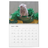 Calendrier 2026 Rats of The Rodent Reader Calendar G (Mar 2026)