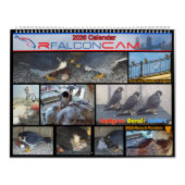 Calendrier 2026 Rfalconcam Calendar (Protection)