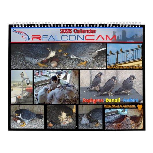 Calendrier 2026 Rfalconcam Calendar (Protection)