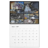 Calendrier 2026 Rfalconcam Calendar (Mar 2027)