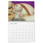 Calendrier 2026 Rodent Reader Calendar H (Jan 2027)