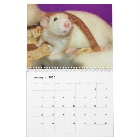 Calendrier 2026 Rodent Reader Calendar H (Jan 2026)