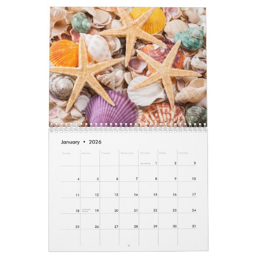 Calendrier 2026 Sea Shell | Coastal  Shell Photography (Jan 2026)