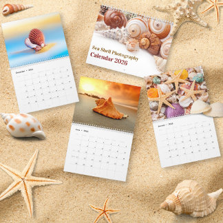 Calendrier 2026 Sea Shell | Coastal Shell Photography