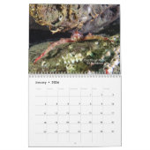 Calendrier 2026 SeaHorse Dive Club Photo Contest Calendar (Jan 2026)