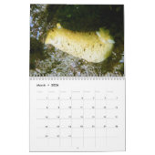 Calendrier 2026 SeaHorse Dive Club Photo Contest Calendar (Mar 2026)