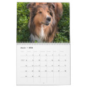 Calendrier 2026 Sheltie Calendar (Mar 2026)
