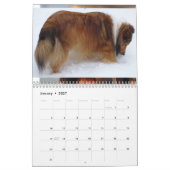 Calendrier 2026 Sheltie Calendar (Jan 2027)