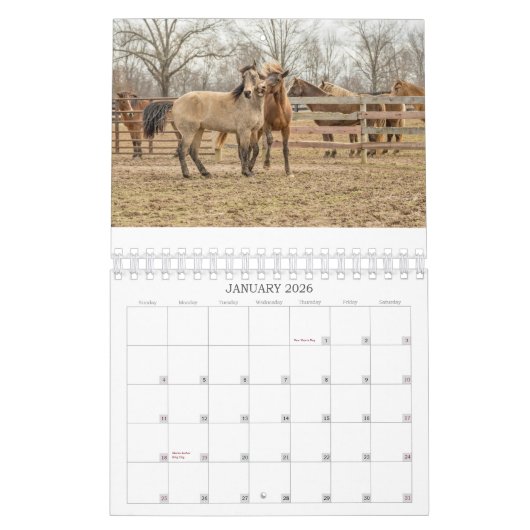 CALENDRIER 2026 SIMPLE HORSES CALENDAR (Jan 2026)