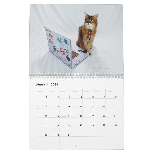 Calendrier 2026 Somali Cat Calendar Featuring Summer Samba (Mar 2026)