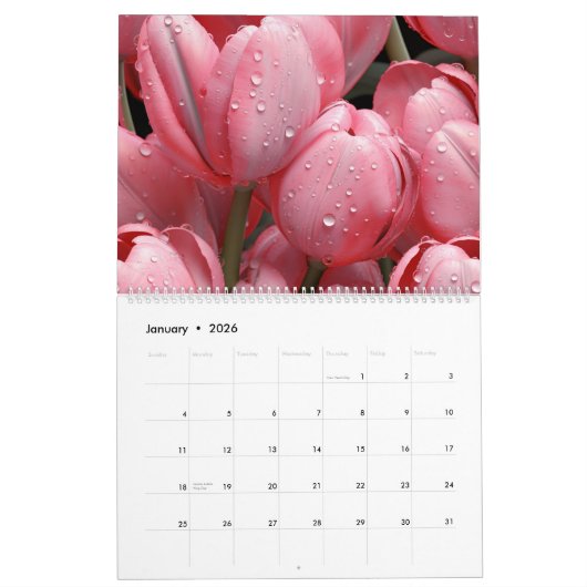 Calendrier 2026 Tulips Wall Calendar (Jan 2026)