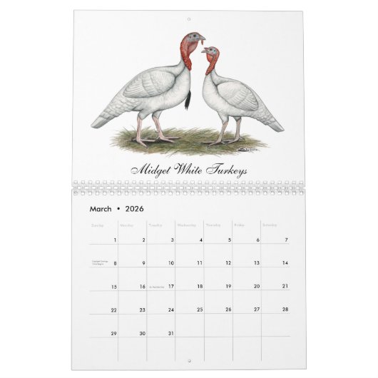 Calendrier 2026 Turkey Calendar (Mar 2026)