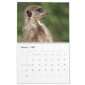 Calendrier 2026 Une année avec Meerkats (Feb 2027)