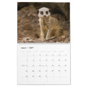 Calendrier 2026 Une année avec Meerkats (Mar 2027)