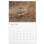 Calendrier 2026 Une année avec Meerkats (Jan 2027)