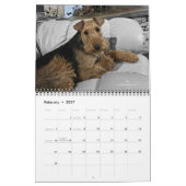 Calendrier 2026 Welsh Terrier Calendar (Feb 2027)