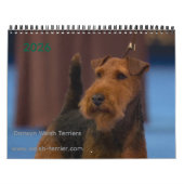 Calendrier 2026 Welsh Terrier Calendar (Protection)