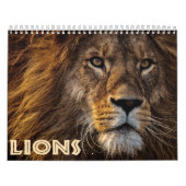 Calendrier 2026 Wild Lions (Protection)