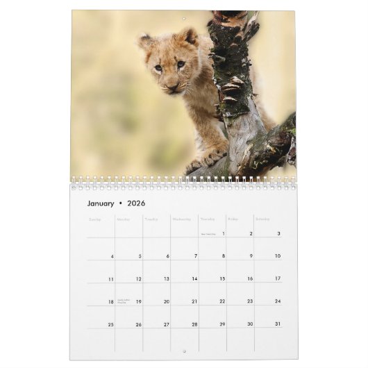 Calendrier 2026 Wild Lions (Jan 2026)