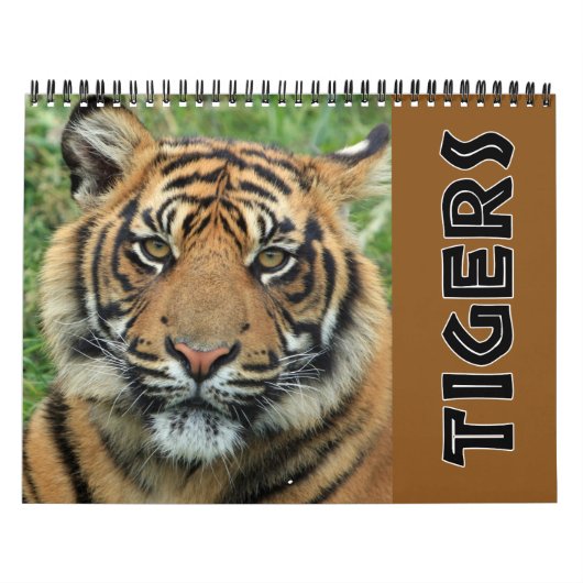 Calendrier 2026 Wild Tiger (Protection)