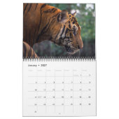 Calendrier 2026 Wild Tiger (Jan 2027)