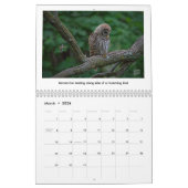 Calendrier 2026 Wildlife Calendar by Kevin Harris (Mar 2026)