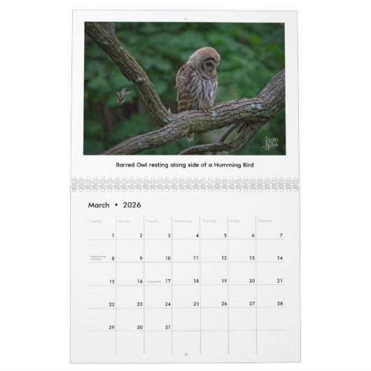 Calendrier 2026 Wildlife Calendar by Kevin Harris (Mar 2026)