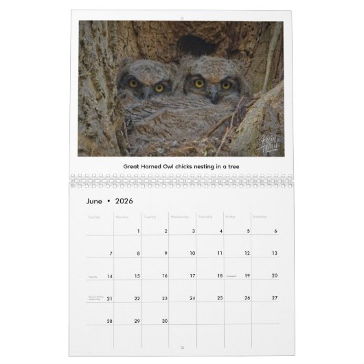 Calendrier 2026 Wildlife Calendar by Kevin Harris (Jun 2026)