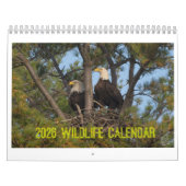 Calendrier 2026 Wildlife Calendar by Kevin Harris (Protection)