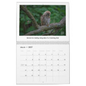 Calendrier 2026 Wildlife Calendar by Kevin Harris (Mar 2027)