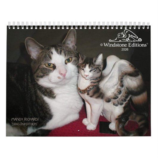 Calendrier 2026 Windstone Editions Calendar (Protection)