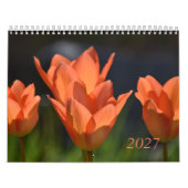 Calendrier 2027 (Protection)