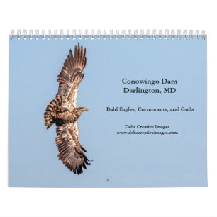 Calendrier 2027 Barrage de Conowingo Aigles américains Faun