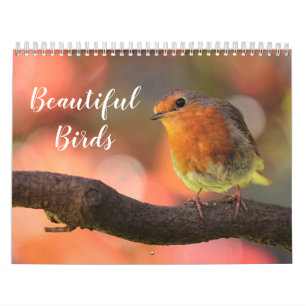 Calendrier 2027 Beaux Oiseaux