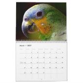 Calendrier 2027 Beaux Oiseaux (Mar 2027)