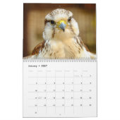 Calendrier 2027 Beaux Oiseaux (Jan 2027)