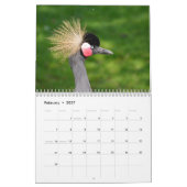 Calendrier 2027 Beaux Oiseaux (Feb 2027)