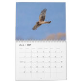 Calendrier 2027 Busard Saint-Martin | Oiseaux de Proie (Mar 2027)