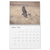 Calendrier 2027 Busard Saint-Martin | Oiseaux de Proie (Feb 2027)