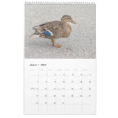 Calendrier 2027 Canards colverts de New York | Faune (Mar 2027)
