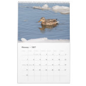 Calendrier 2027 Canards colverts de New York | Faune (Feb 2027)