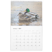 Calendrier 2027 Canards colverts de New York | Faune (Jan 2027)