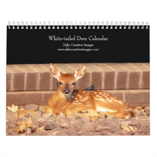 Calendrier 2027 Cerf à queue blanche | Faune de la vallée de