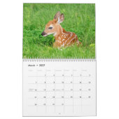 Calendrier 2027 Cerf à queue blanche | Faune de la vallée de (Mar 2027)
