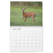 Calendrier 2027 Cerf à queue blanche | Faune de la vallée de (Jan 2027)
