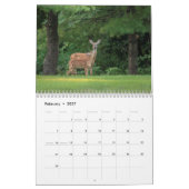 Calendrier 2027 Cerf à queue blanche | Faune de la vallée de (Feb 2027)