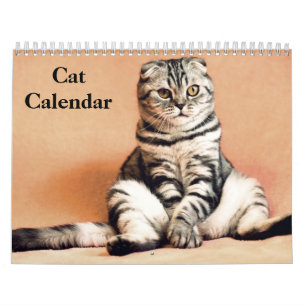 Calendrier 2027 Chat Bengal