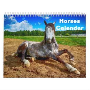 Calendrier 2027 Cheval