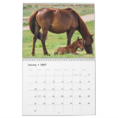 Calendrier 2027 Cheval (Jan 2027)