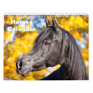 Calendrier 2027 Cheval